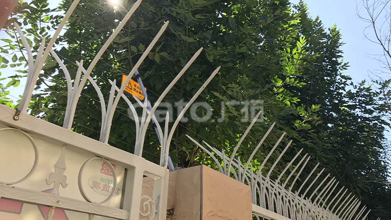 中小學(xué)幼兒園 