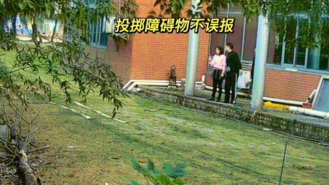 用數(shù)據說話，風雨小動物不誤報！(圖11)
